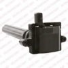 DELPHI GN10214 Ignition Coil